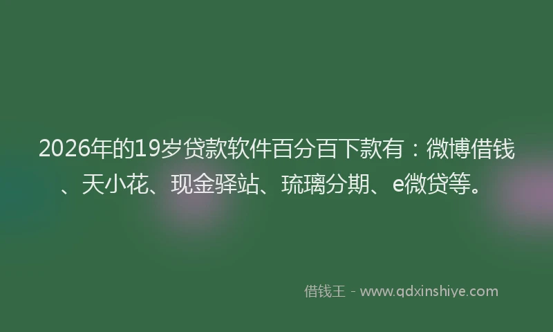 2026年的19岁贷款软件百分百下款有：微博借钱、天小花、现金驿站、琉璃分期、e微贷等。