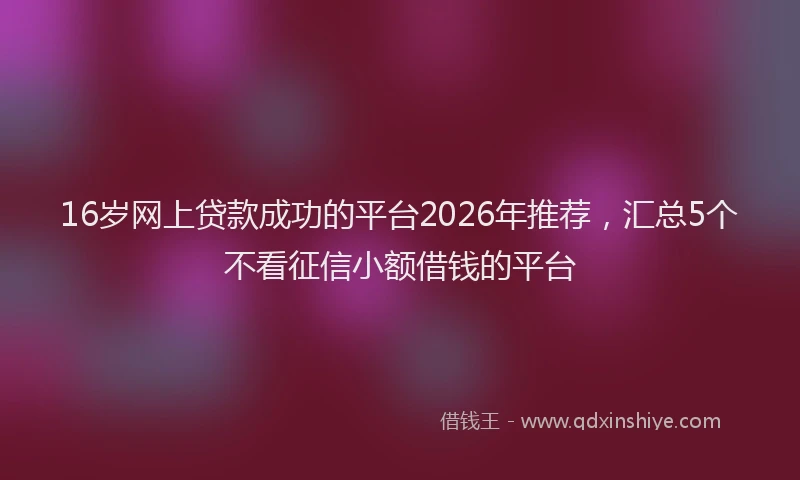 16岁网上贷款成功的平台2026年推荐，汇总5个不看征信小额借钱的平台
