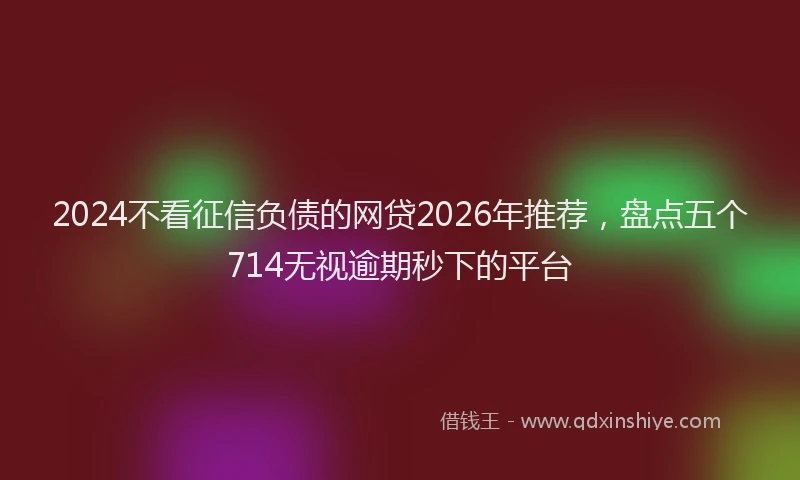 2024不看征信负债的网贷2026年推荐，盘点五个714无视逾期秒下的平台