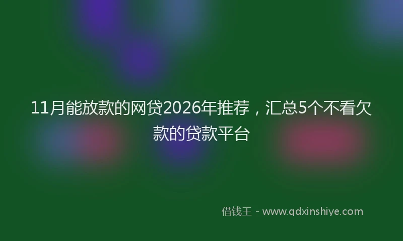 11月能放款的网贷2026年推荐，汇总5个不看欠款的贷款平台