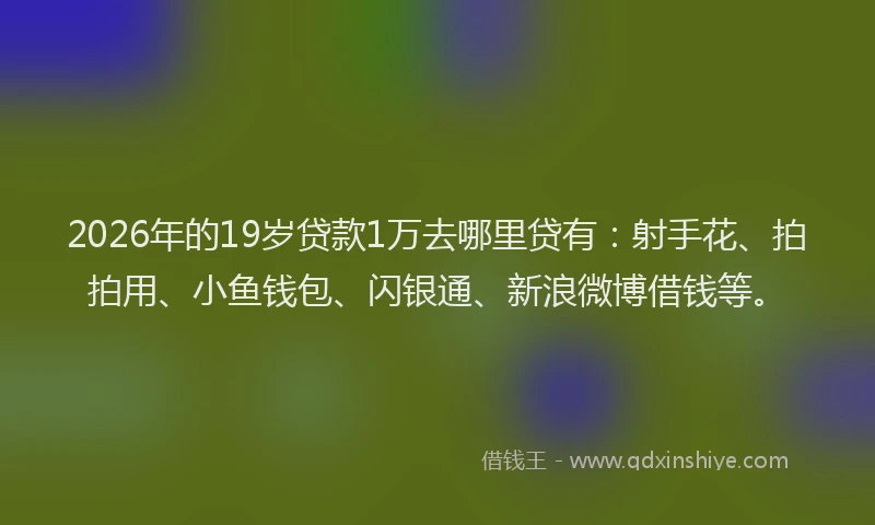 2026年的19岁贷款1万去哪里贷有:射手花、拍拍用、小鱼钱包、闪银通、新浪微博借钱等。