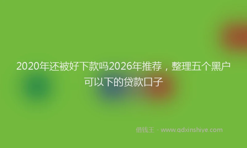 2020年还被好下款吗2026年推荐,整理五个黑户可以下的贷款口子