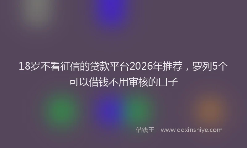 18岁不看征信的贷款平台2026年推荐，罗列5个可以借钱不用审核的口子