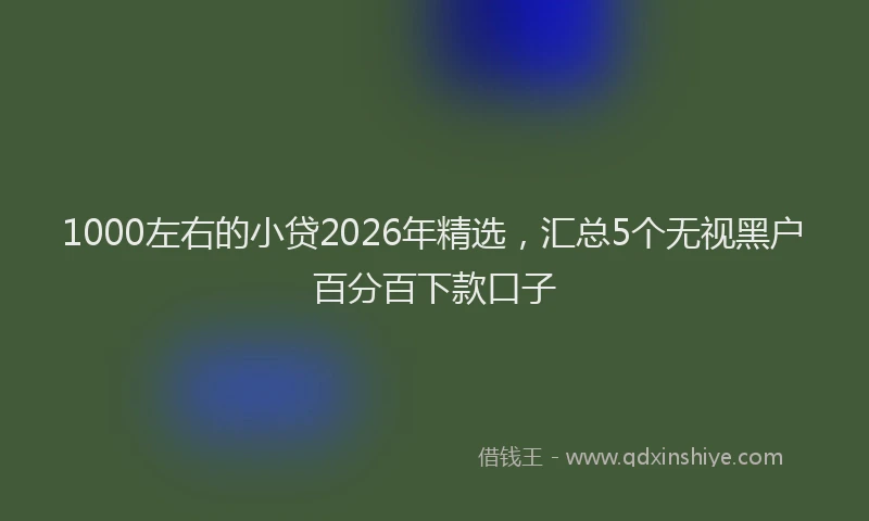 1000左右的小贷2026年精选，汇总5个无视黑户百分百下款口子