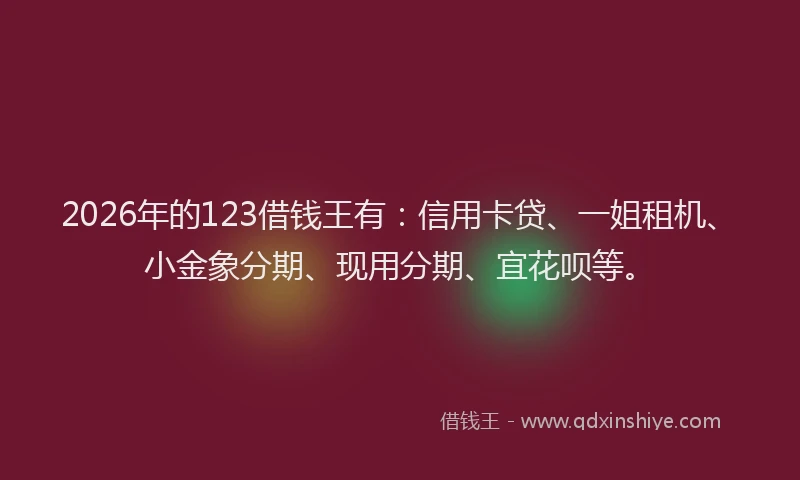 2026年的123借钱王有:信用卡贷、一姐租机、小金象分期、现用分期、宜花呗等。