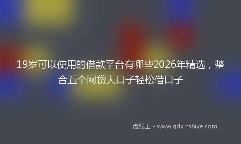 19岁可以使用的借款平台有哪些2026年精选，整合五个网贷大口子轻松借口子