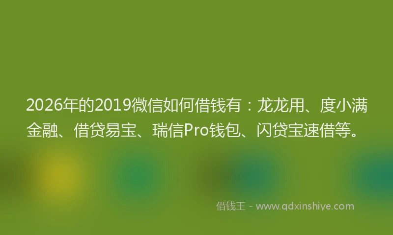 2026年的2019微信如何借钱有:龙龙用、度小满金融、借贷易宝、瑞信Pro钱包、闪贷宝速借等。
