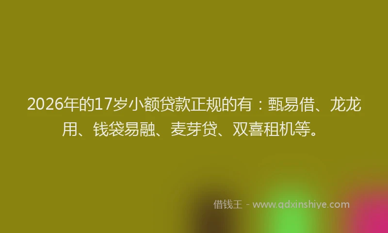 2026年的17岁小额贷款正规的有:甄易借、龙龙用、钱袋易融、麦芽贷、双喜租机等。