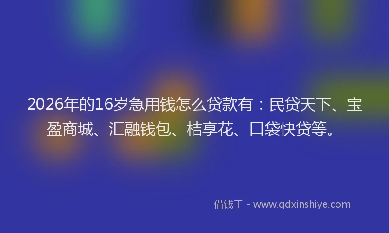 2026年的16岁急用钱怎么贷款有:民贷天下、宝盈商城、汇融钱包、桔享花、口袋快贷等。