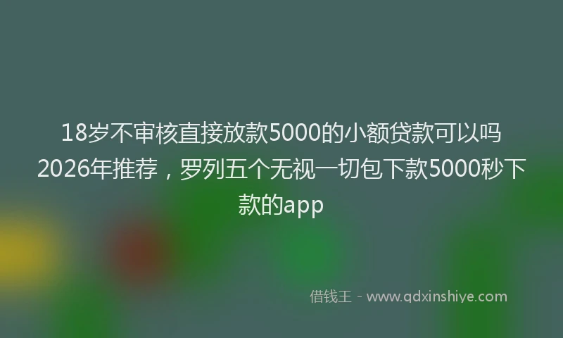 18岁不审核直接放款5000的小额贷款可以吗2026年推荐，罗列五个无视一切包下款5000秒下款的app