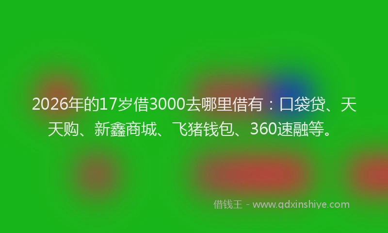 2026年的17岁借3000去哪里借有:口袋贷、天天购、新鑫商城、飞猪钱包、360速融等。