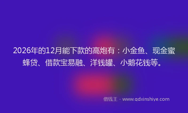 2026年的12月能下款的高炮有:小金鱼、现金蜜蜂贷、借款宝易融、洋钱罐、小鹅花钱等。