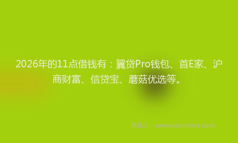 2026年的11点借钱有:翼贷Pro钱包、首E家、沪商财富、信贷宝、蘑菇优选等。