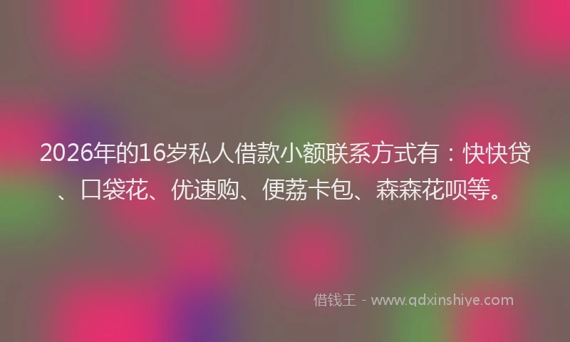 2026年的16岁私人借款小额联系方式有：快快贷、口袋花、优速购、便荔卡包、森森花呗等。