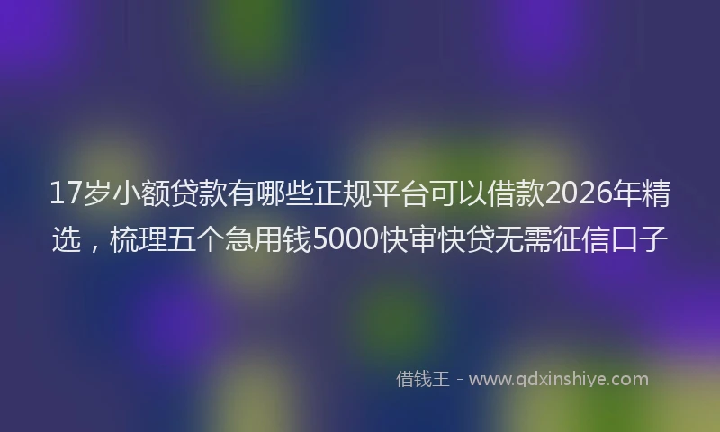 17岁小额贷款有哪些正规平台可以借款2026年精选，梳理五个急用钱5000快审快贷无需征信口子