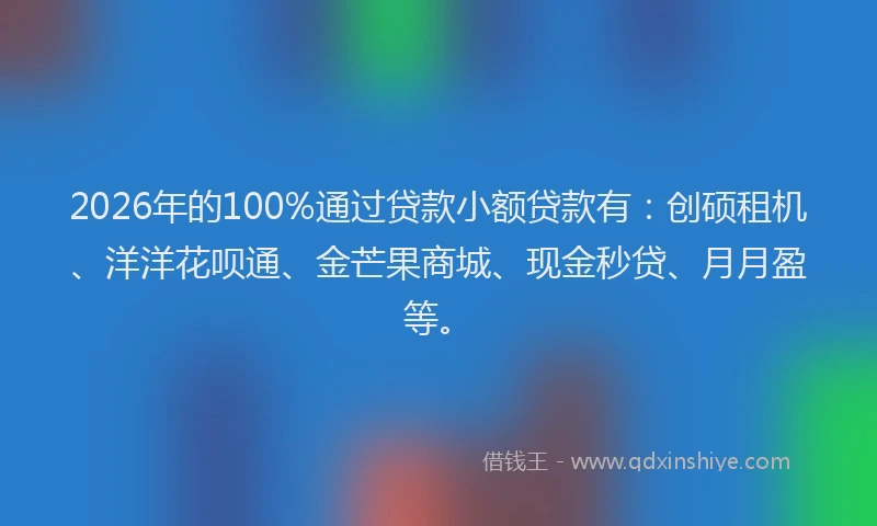 2026年的100%通过贷款小额贷款有：创硕租机、洋洋花呗通、金芒果商城、现金秒贷、月月盈等。