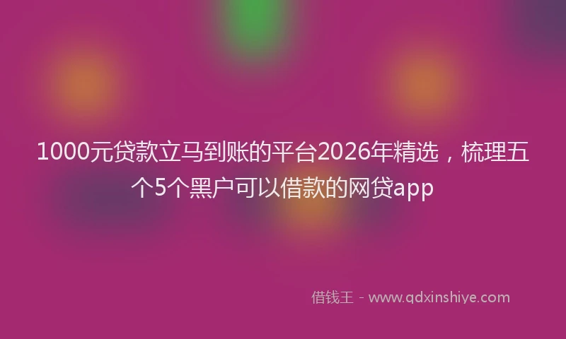 1000元贷款立马到账的平台2026年精选，梳理五个5个黑户可以借款的网贷app