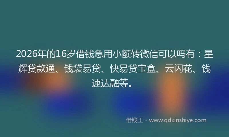 2026年的16岁借钱急用小额转微信可以吗有:星辉贷款通、钱袋易贷、快易贷宝盒、云闪花、钱速达融等。