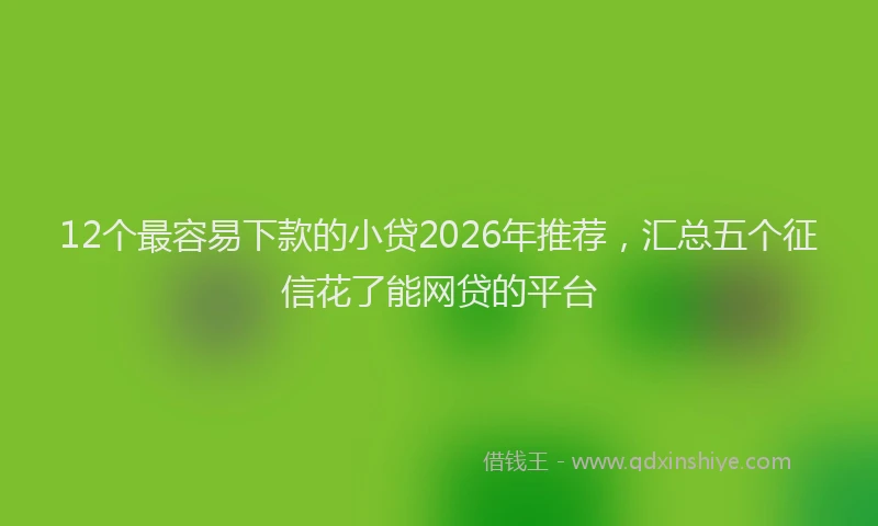 12个最容易下款的小贷2026年推荐，汇总五个征信花了能网贷的平台