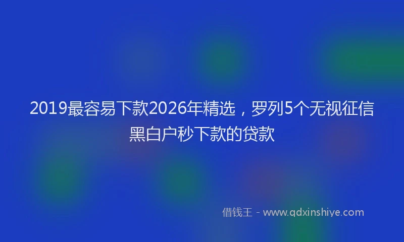 2019最容易下款2026年精选，罗列5个无视征信黑白户秒下款的贷款
