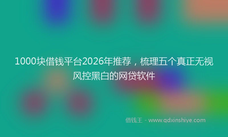 1000块借钱平台2026年推荐，梳理五个真正无视风控黑白的网贷软件