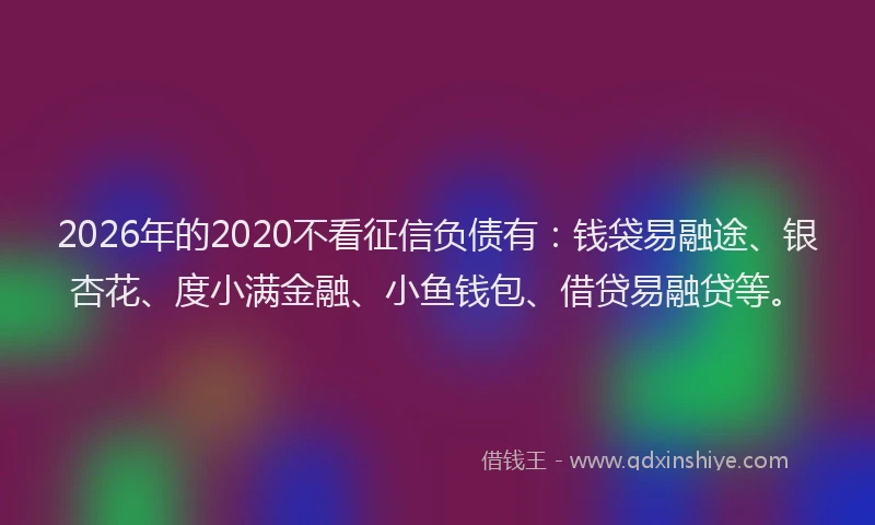 2026年的2020不看征信负债有:钱袋易融途、银杏花、度小满金融、小鱼钱包、借贷易融贷等。