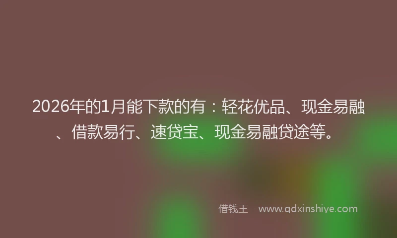 2026年的1月能下款的有：轻花优品、现金易融、借款易行、速贷宝、现金易融贷途等。