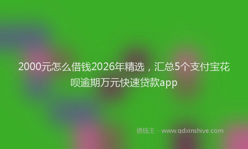 2000元怎么借钱2026年精选，汇总5个支付宝花呗逾期万元快速贷款app