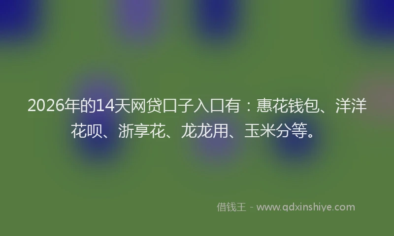 2026年的14天网贷口子入口有：惠花钱包、洋洋花呗、浙享花、龙龙用、玉米分等。