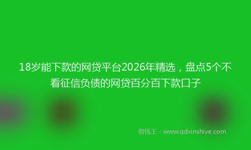 18岁能下款的网贷平台2026年精选,盘点5个不看征信负债的网贷百分百下款口子