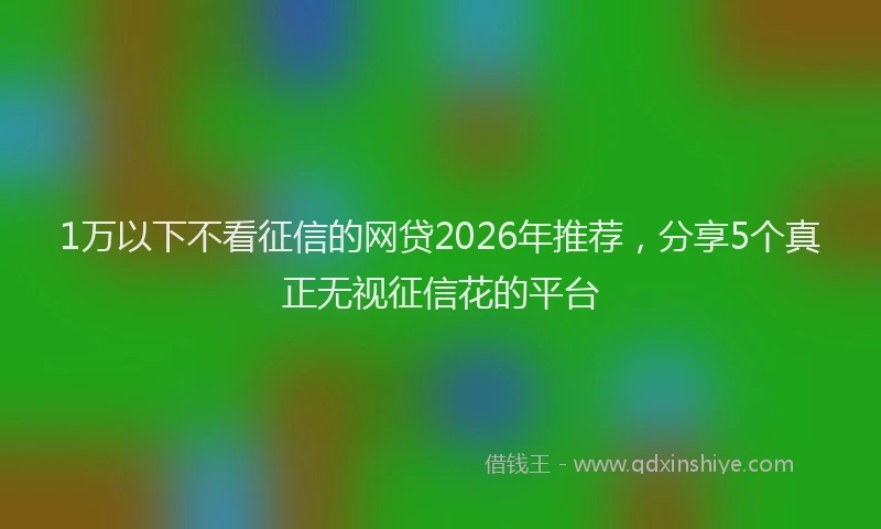 1万以下不看征信的网贷2026年推荐，分享5个真正无视征信花的平台