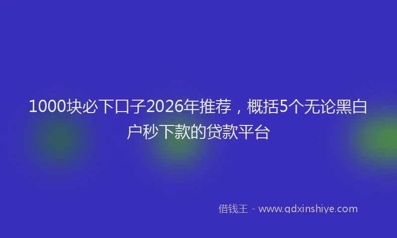 1000块必下口子2026年推荐，概括5个无论黑白户秒下款的贷款平台