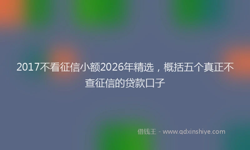 2017不看征信小额2026年精选，概括五个真正不查征信的贷款口子