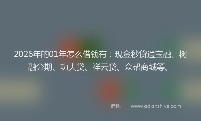 2026年的01年怎么借钱有：现金秒贷通宝融、树融分期、功夫贷、祥云贷、众帮商城等。