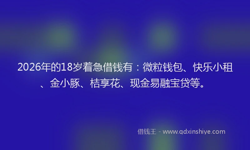 2026年的18岁着急借钱有:微粒钱包、快乐小租、金小豚、桔享花、现金易融宝贷等。