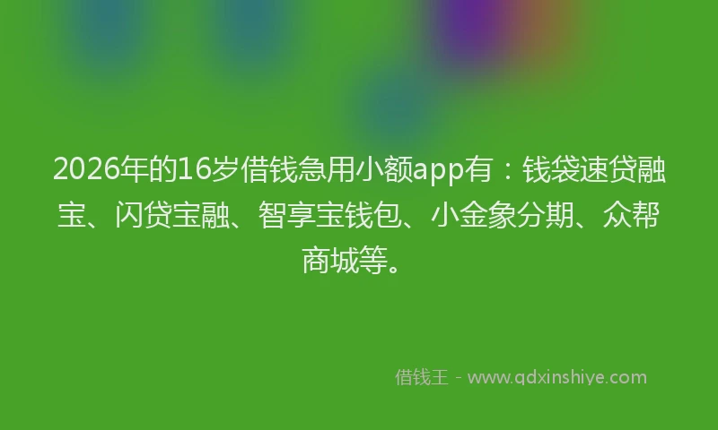 2026年的16岁借钱急用小额app有:钱袋速贷融宝、闪贷宝融、智享宝钱包、小金象分期、众帮商城等。