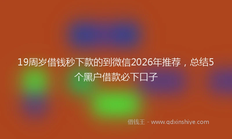 19周岁借钱秒下款的到微信2026年推荐，总结5个黑户借款必下口子