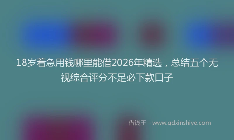 18岁着急用钱哪里能借2026年精选，总结五个无视综合评分不足必下款口子