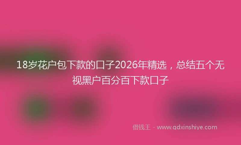 18岁花户包下款的口子2026年精选，总结五个无视黑户百分百下款口子