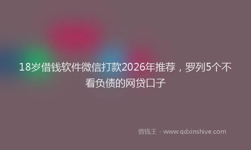 18岁借钱软件微信打款2026年推荐，罗列5个不看负债的网贷口子