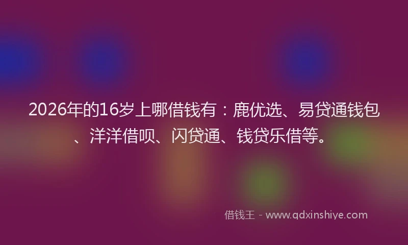 2026年的16岁上哪借钱有:鹿优选、易贷通钱包、洋洋借呗、闪贷通、钱贷乐借等。