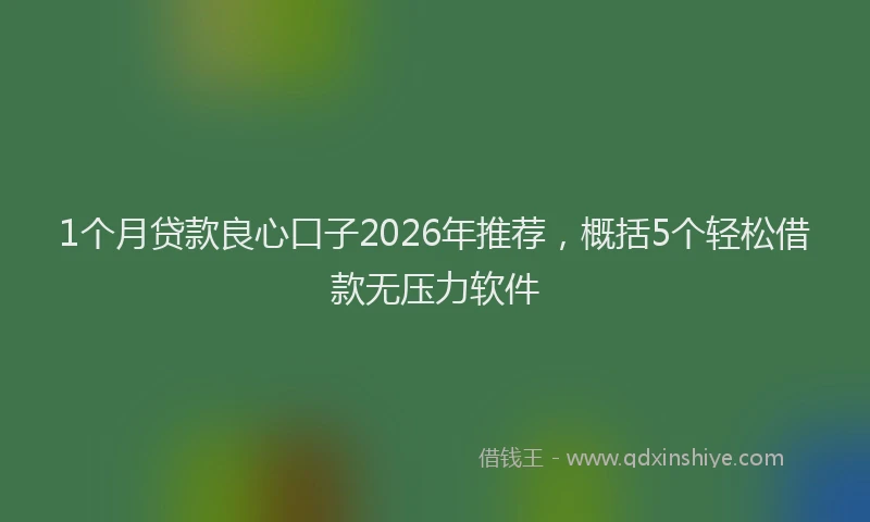 1个月贷款良心口子2026年推荐，概括5个轻松借款无压力软件