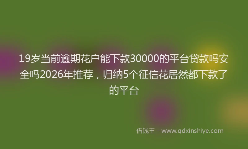 19岁当前逾期花户能下款30000的平台贷款吗安全吗2026年推荐，归纳5个征信花居然都下款了的平台