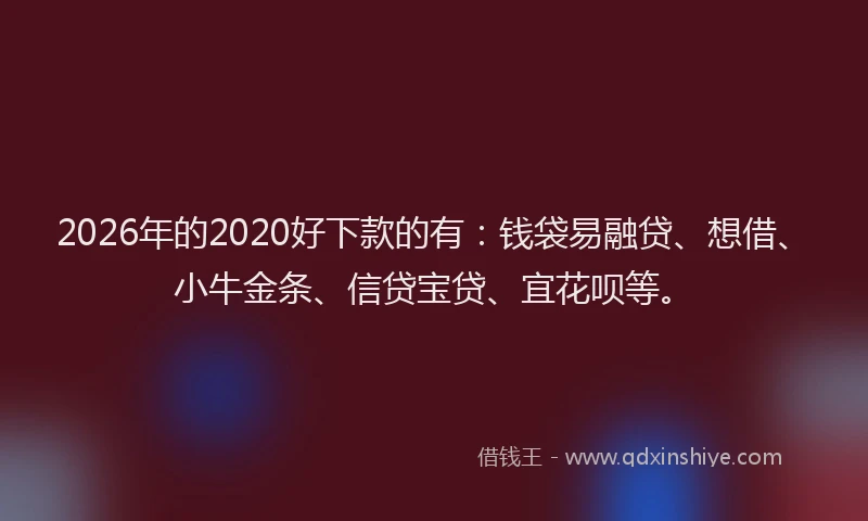 2026年的2020好下款的有：钱袋易融贷、想借、小牛金条、信贷宝贷、宜花呗等。