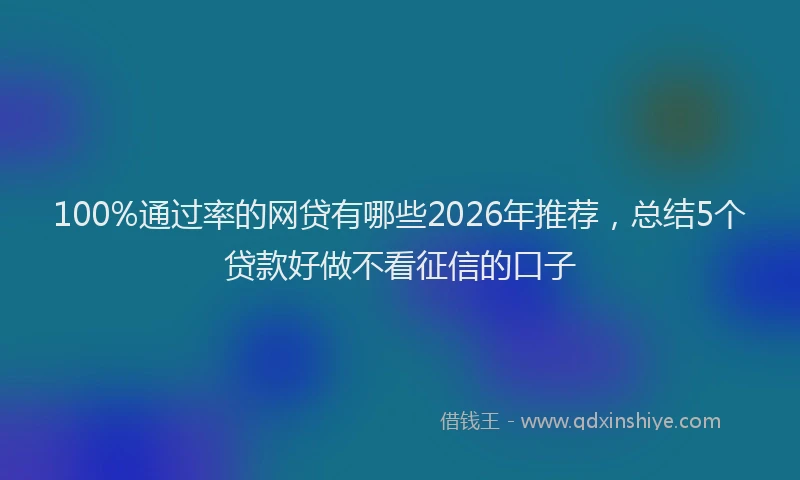 100%通过率的网贷有哪些2026年推荐，总结5个贷款好做不看征信的口子