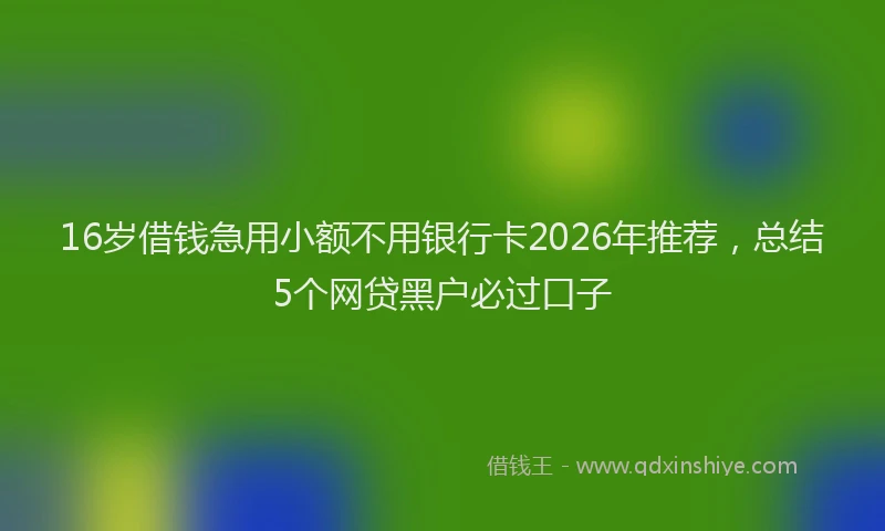 16岁借钱急用小额不用银行卡2026年推荐，总结5个网贷黑户必过口子