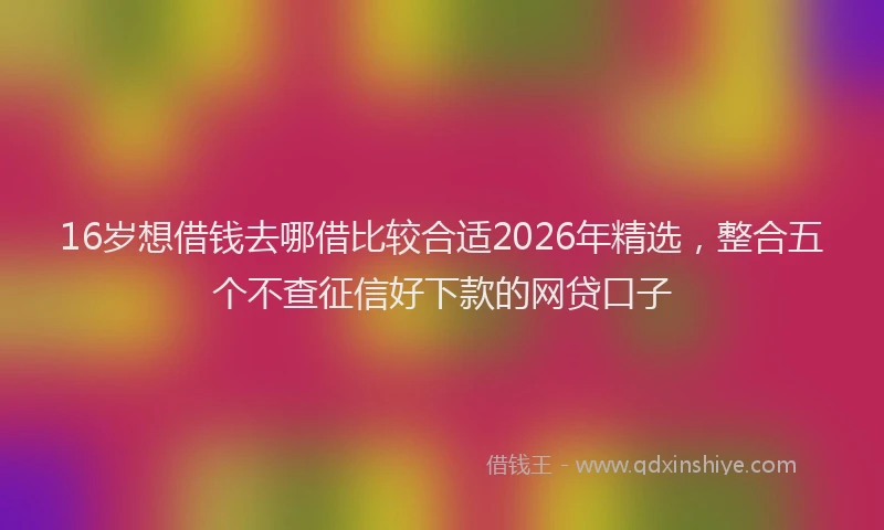 16岁想借钱去哪借比较合适2026年精选,整合五个不查征信好下款的网贷口子