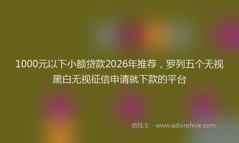 1000元以下小额贷款2026年推荐，罗列五个无视黑白无视征信申请就下款的平台