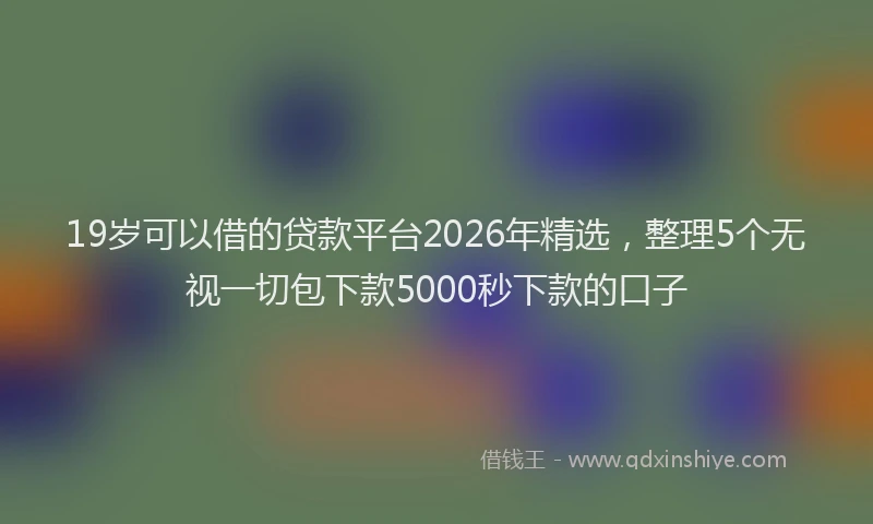 19岁可以借的贷款平台2026年精选，整理5个无视一切包下款5000秒下款的口子