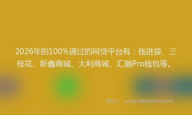 2026年的100%通过的网贷平台有:钱进袋、三枝花、新鑫商城、大利商城、汇融Pro钱包等。
